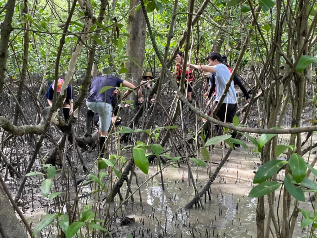 651204_04 คณะบริหารการพัฒนาสิ่งแวดล้อม นิด้า ได้ไปร่วมปลูกป่าชายเลนและศึกษาดูงานด้านการอนุรักษ์ป่าชายเลนโดยชุมชน