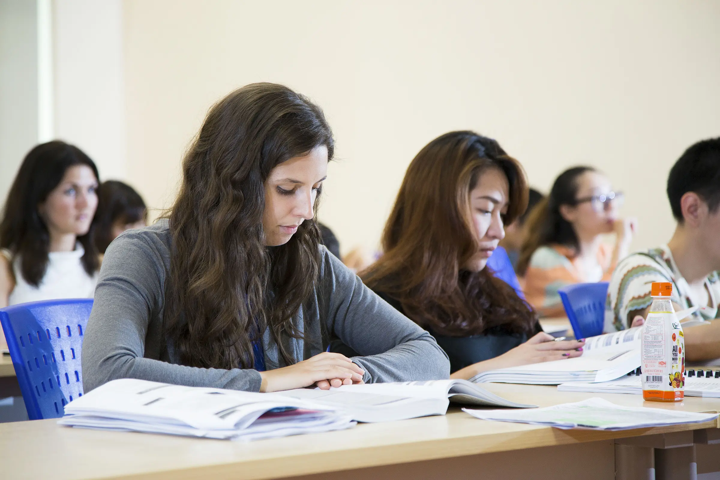 Master of Management (English)