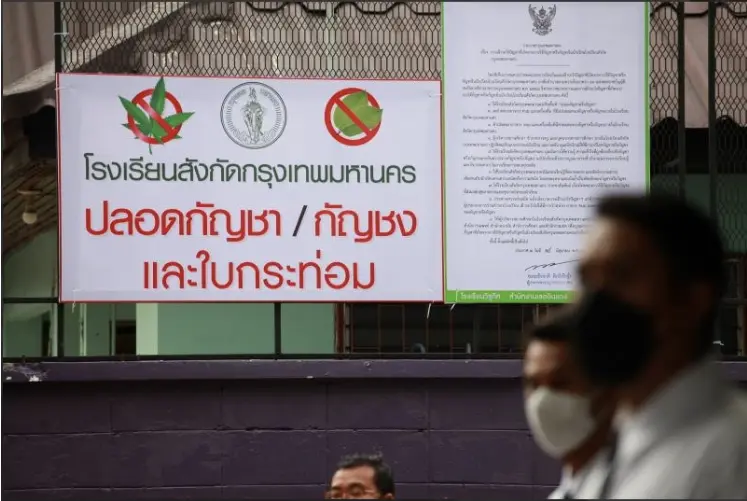 nida.posttoday ว่าด้วยกัญชาเสรี