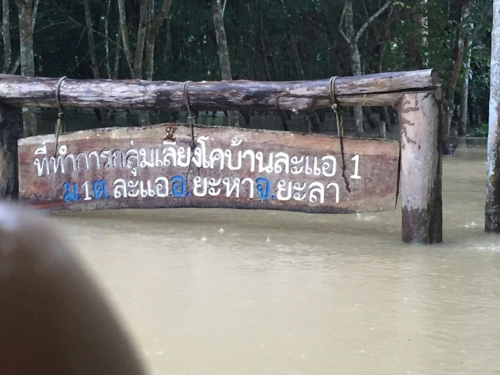 ลงพื้นที่ช่วยเหลือผู้ประสบอุทกภัยภาคใต้