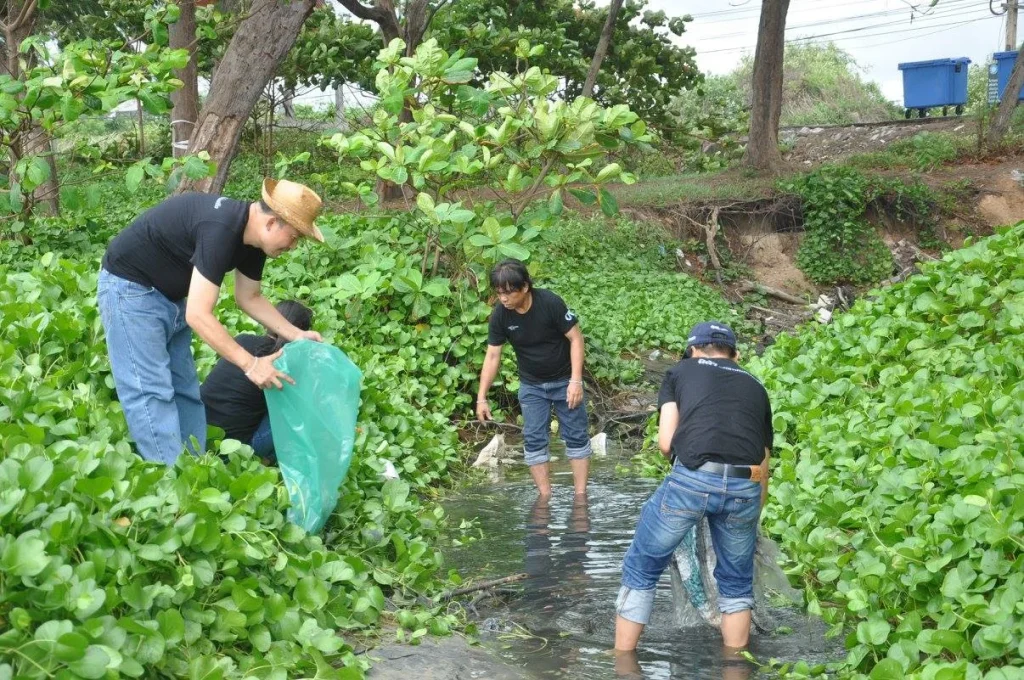 นิด้า ร่วมงานวันอนุรักษ์ชายฝั่งสากล ประจำปี 2560 จ.ระยอง