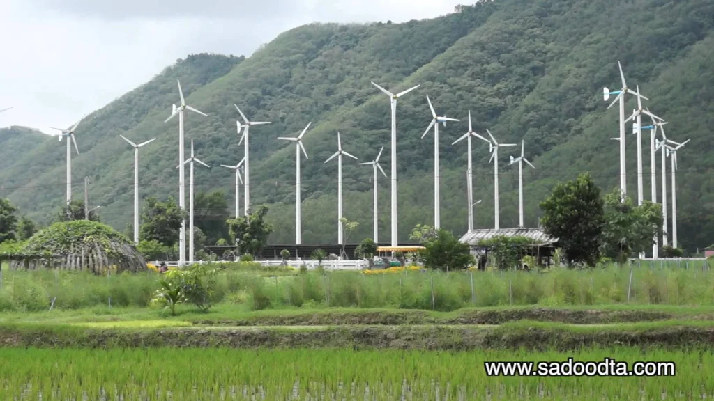 NIDA International Outing 2018