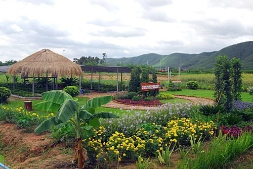 NIDA International Outing 2018