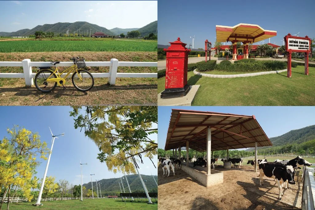 NIDA International Outing 2018