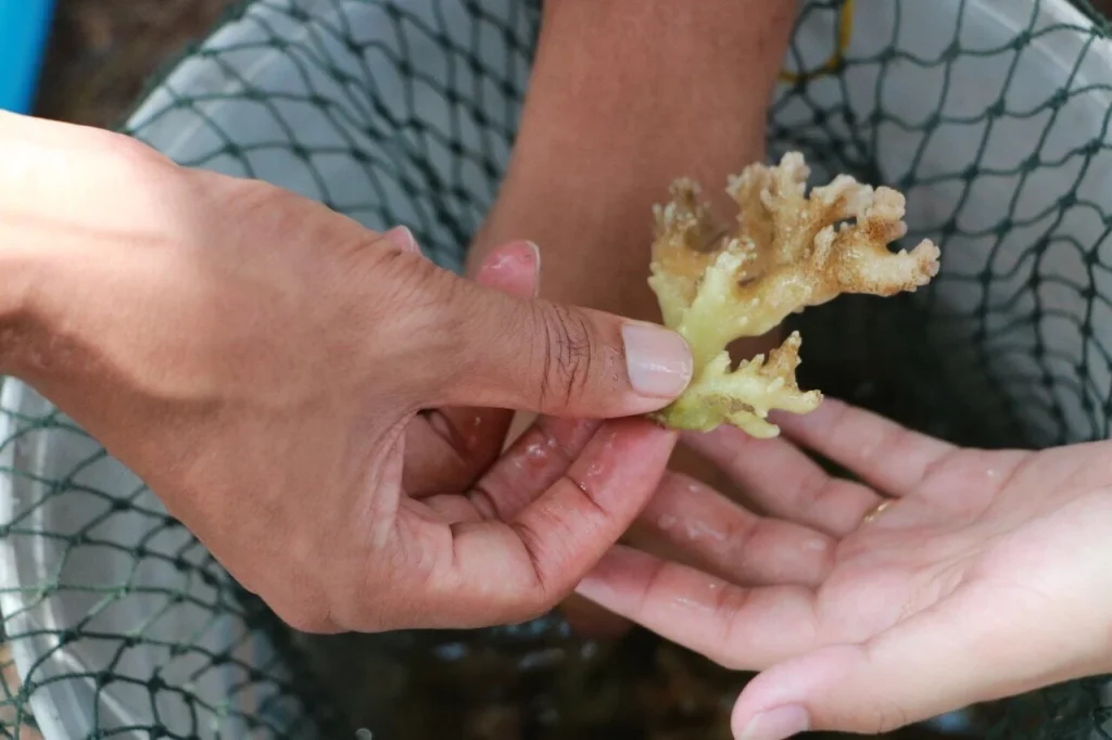 นักศึกษา รศ.นิด้า ร่วมกิจกรรม ฅนธรรมดี