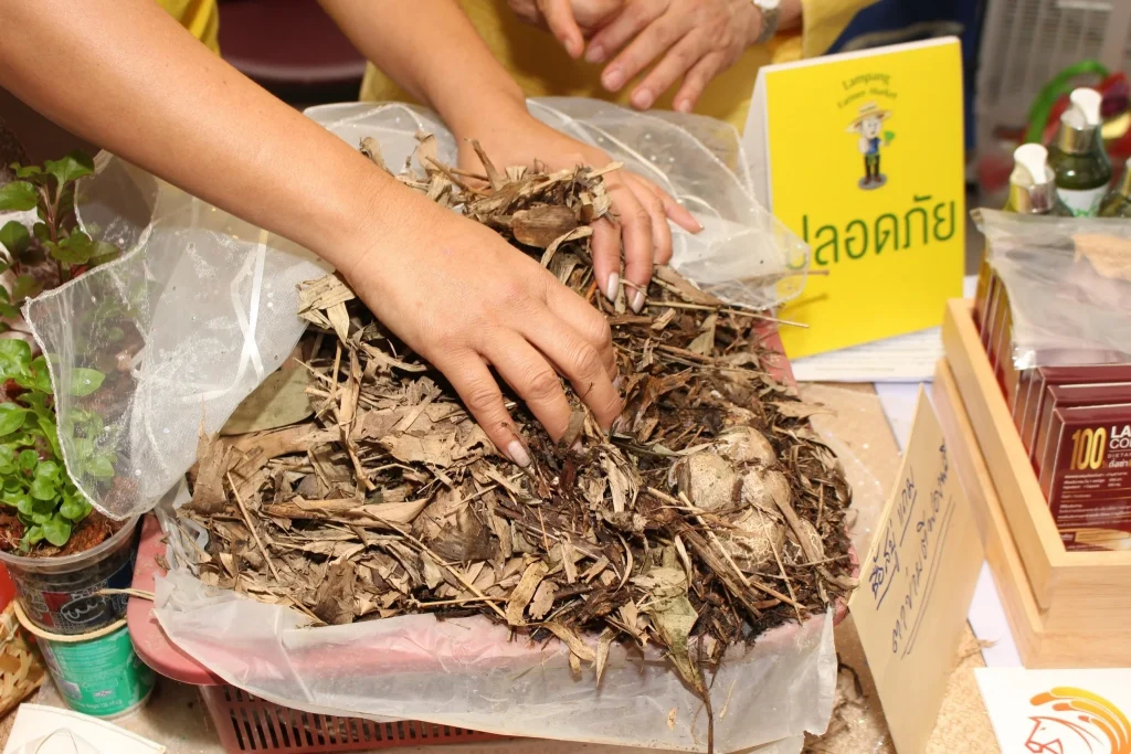 มหกรรมรวมใจเพื่อสายน้ำ ประจำปี 2562