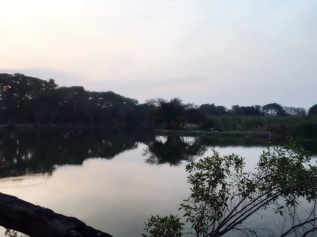 สำรวจศักยภาพแก้มลิงเฉลิมพระเกียรติ ร.9