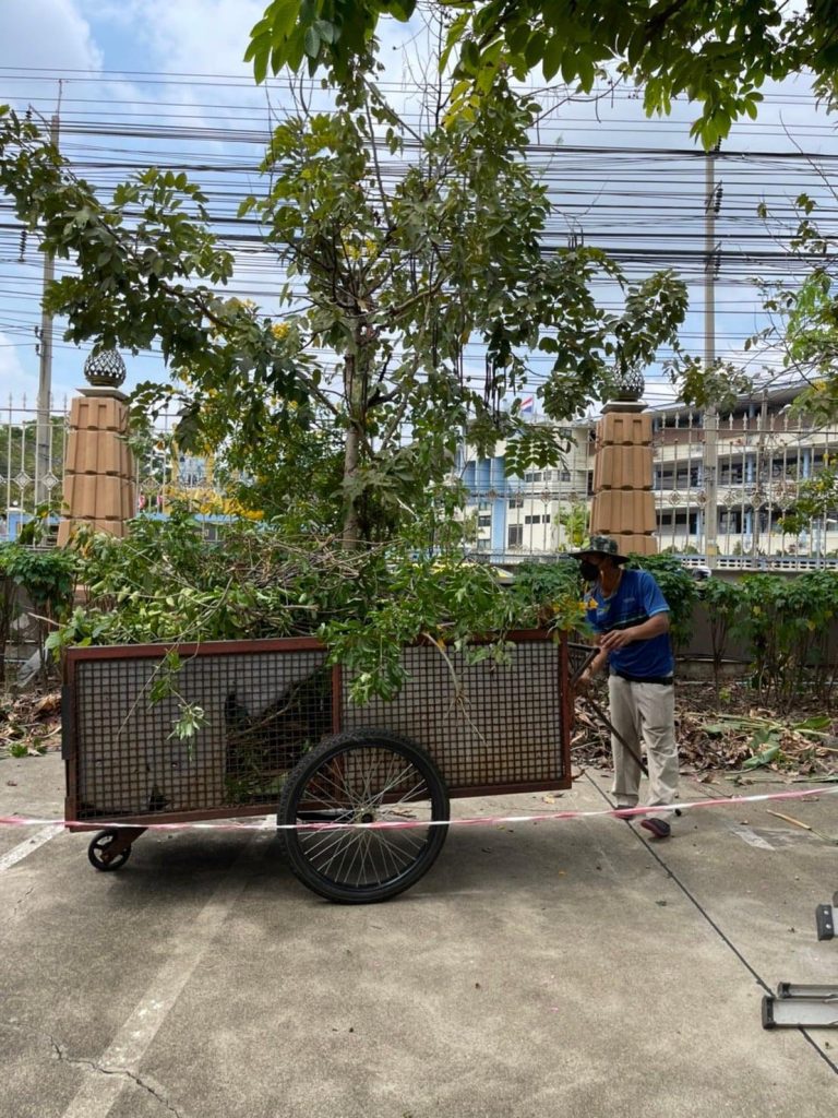 สำรวจพื้นที่ภูมิทัศน์ภายในสถาบัน