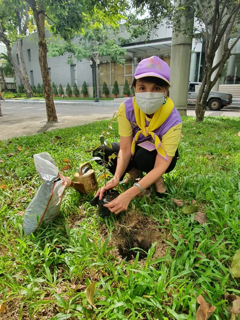 650811.904 04 นิด้า ปลูกต้นไม้เฉลิมพระเกียรติ สมเด็จพระนางเจ้าสิริกิติ์ พระบรมราชินีนาถ พระบรมราชชนนีพันปีหลวง