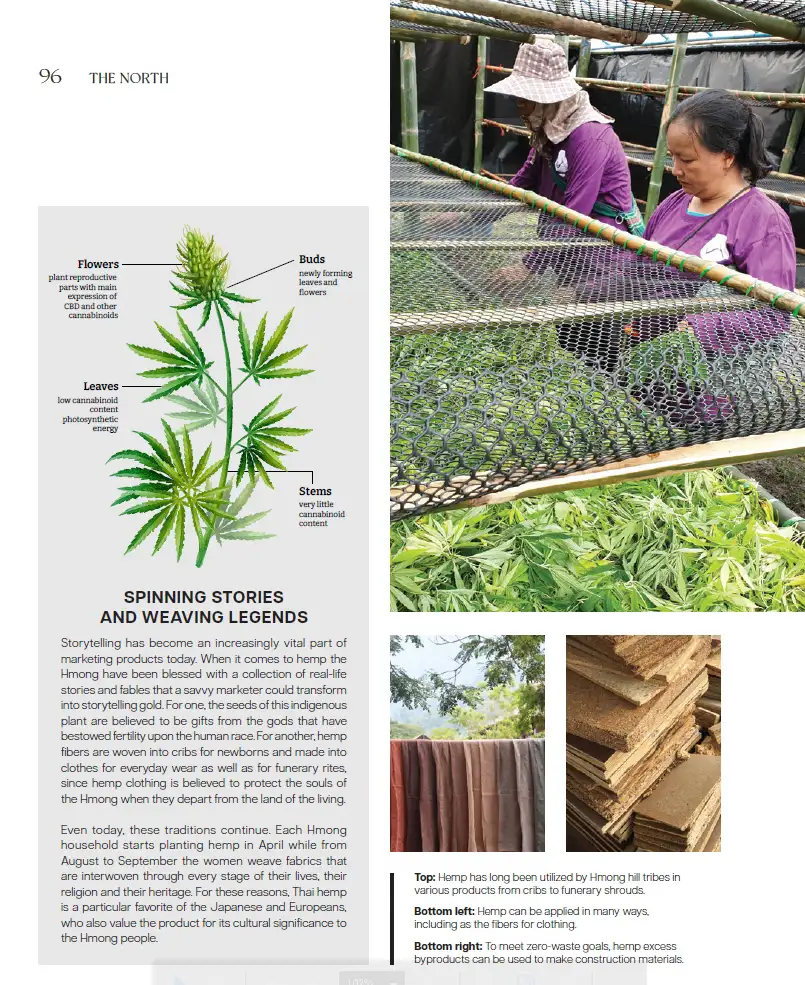 BCG-พอเพียง-Series-EP20-เฮมพ์ไทย03 “BCG พอเพียง” Series EP:20 เฮมพ์ไทย Seeds For a New Green Market อำเภอพบพระ จังหวัดตาก