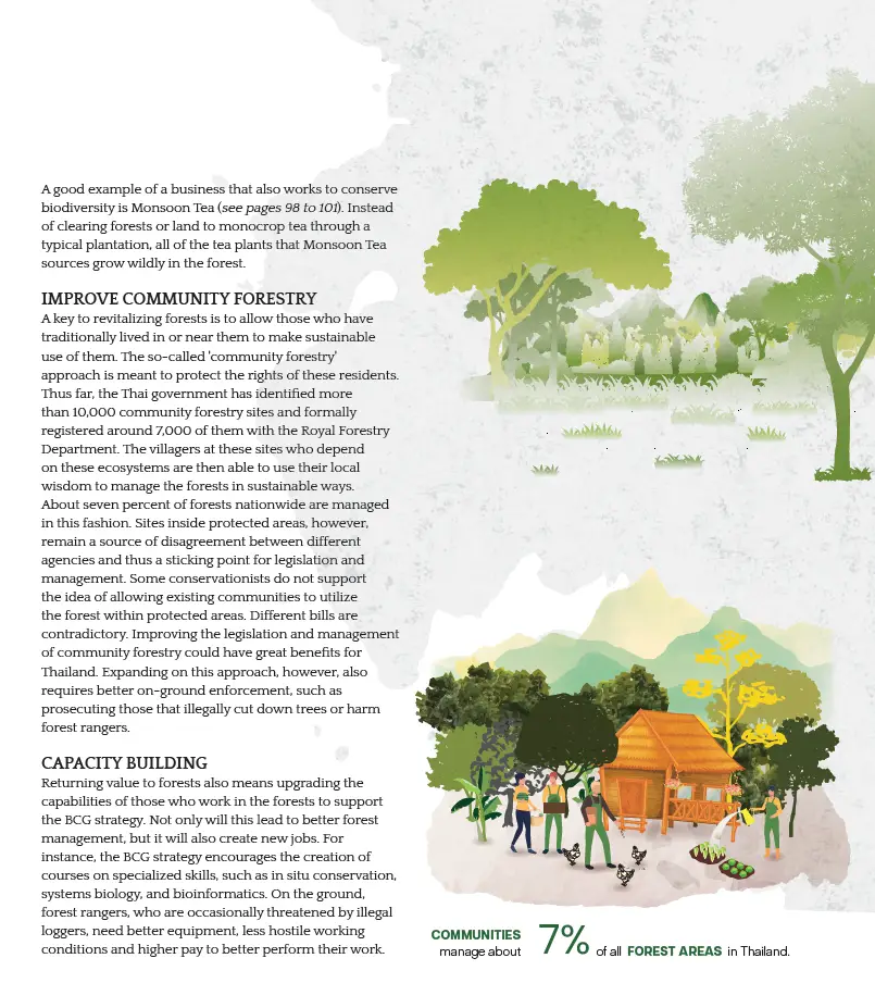 BCG พอเพียง Series EP:24 คืนคุณค่าให้ผืนป่ากับกลยุทธ์ BCG