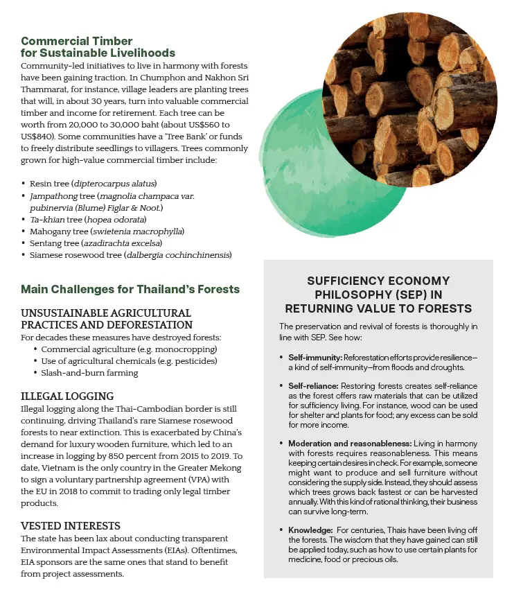 BCG พอเพียง Series EP:24 คืนคุณค่าให้ผืนป่ากับกลยุทธ์ BCG