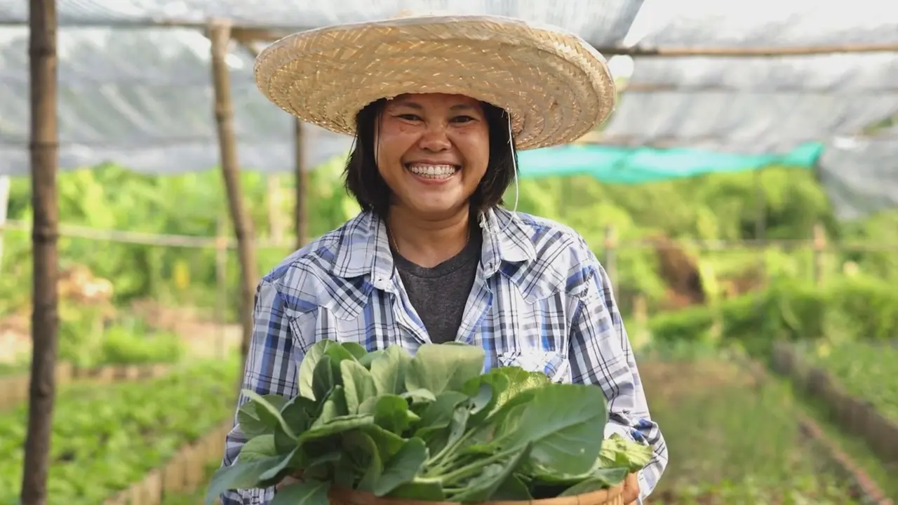 Sustainable Development : แนวปฏิบัติด้านนวัตกรรมสิ่งแวดล้อมและความรับผิดชอบในภาคธุรกิจท่องเที่ยวและบริการ Part 2