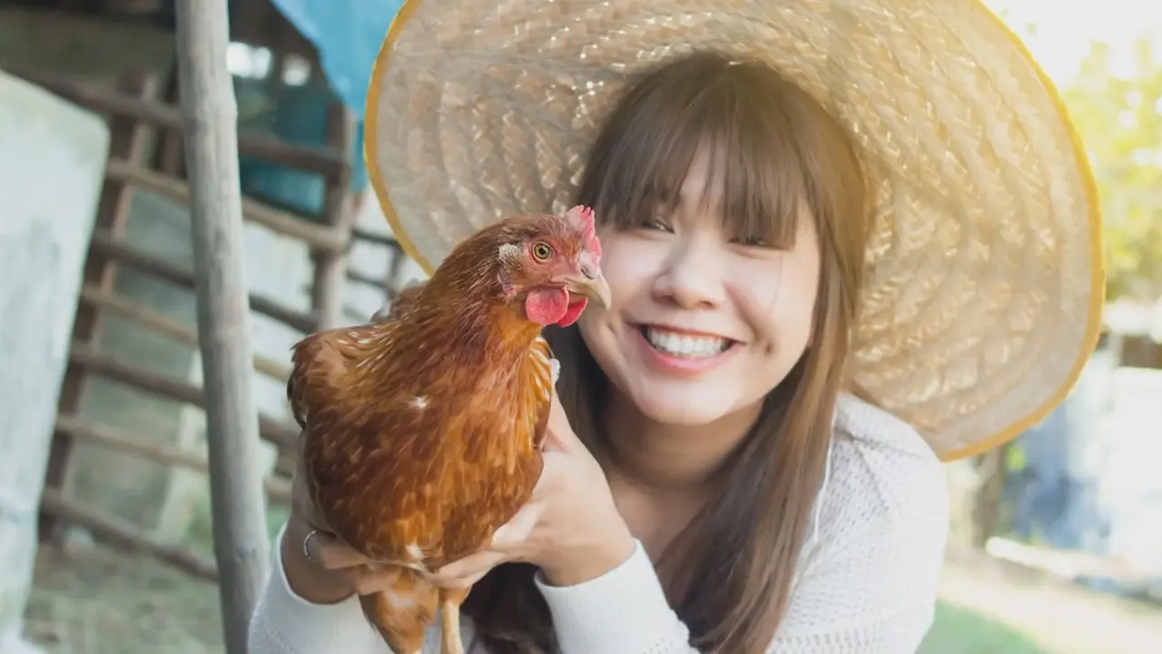 Sustainable Development : แนวปฏิบัติด้านนวัตกรรมสิ่งแวดล้อมและความรับผิดชอบในภาคธุรกิจท่องเที่ยวและบริการ Part 2