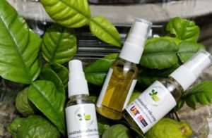 ยาหอมสมุนไพร บ้านไร่ และ สเปรย์แอลกอฮอล์ล้างมือกลิ่นมะกรูด – กิจกรรม National Hackathon 2022 ภายใต้โครงการ U2T for BCG