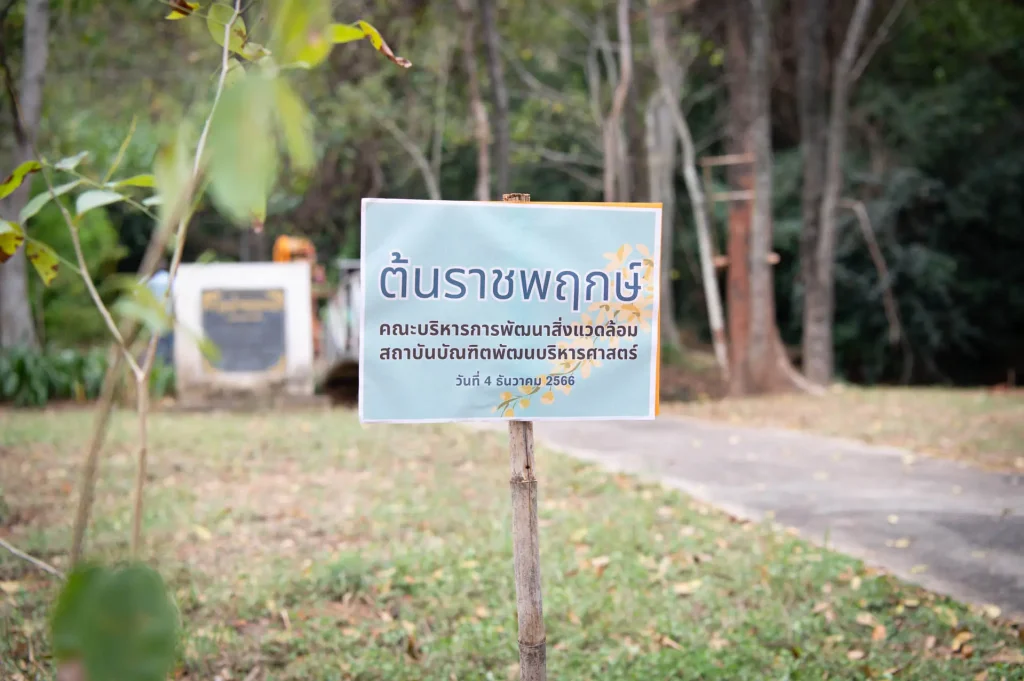 สว.-จัดกิจกรรมปลูกต้นราชพฤกษ์-เนื่องใน-วันสิ่งแวดล้อมไทย01 คณะบริหารการพัฒนาสิ่งแวดล้อม (นิด้า) ผนึกกำลังชุมชนรอบสีคิ้ว จัดกิจกรรมปลูกต้นราชพฤกษ์ เนื่องใน “วันสิ่งแวดล้อมไทย”