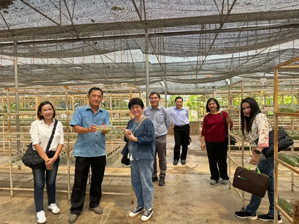 ดูงานปลูกหญ้าแฝกที่ดอยตุง