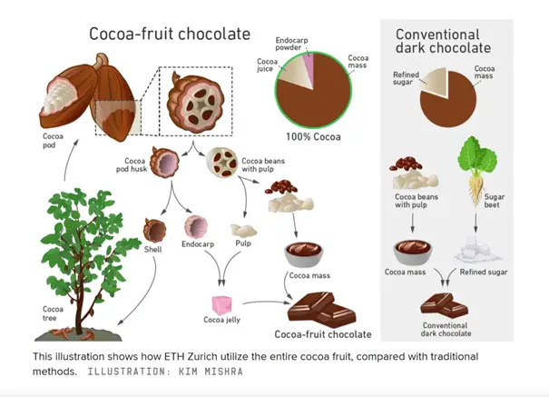 จากผลโกโก้สู่การทำช็อกโกแลต